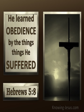 Hebrews 5:8 Jesus Learned Obedience Thru Suffering (brown)